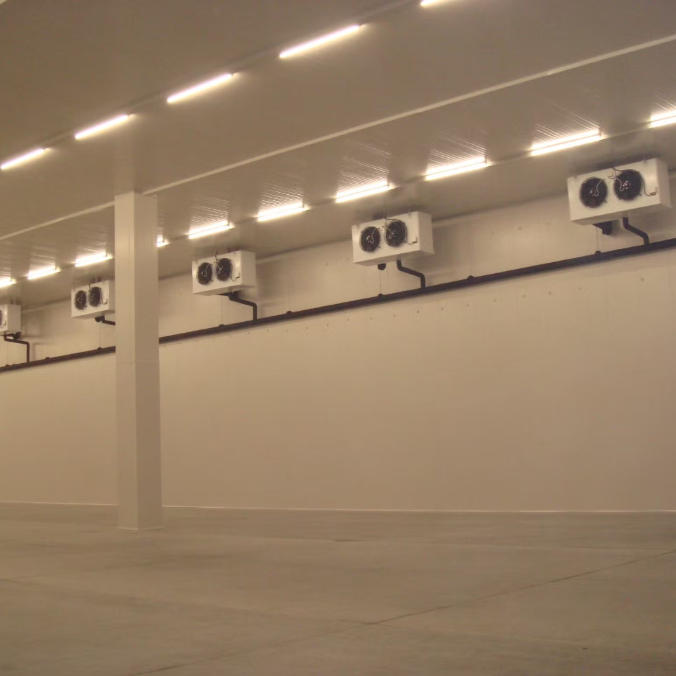 Insulated Cold Room Panel