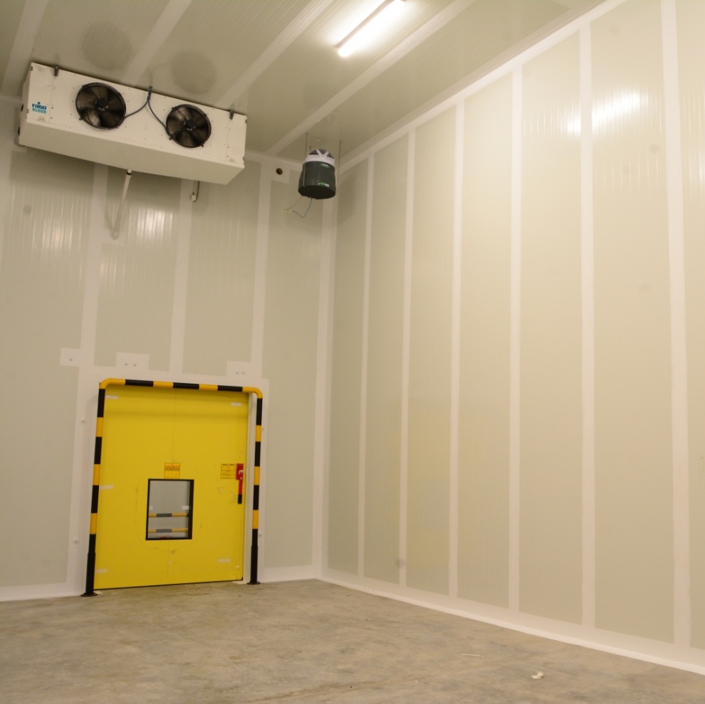 Cold Room