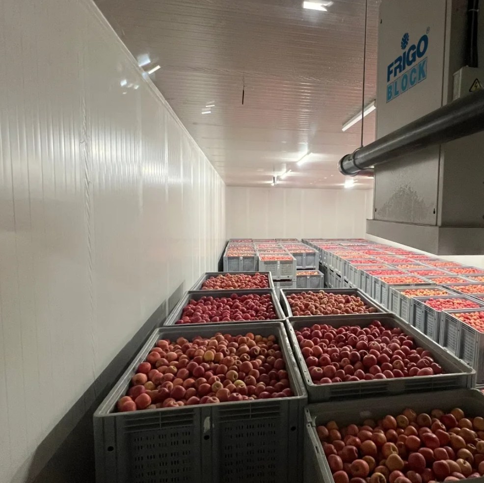 cold storage