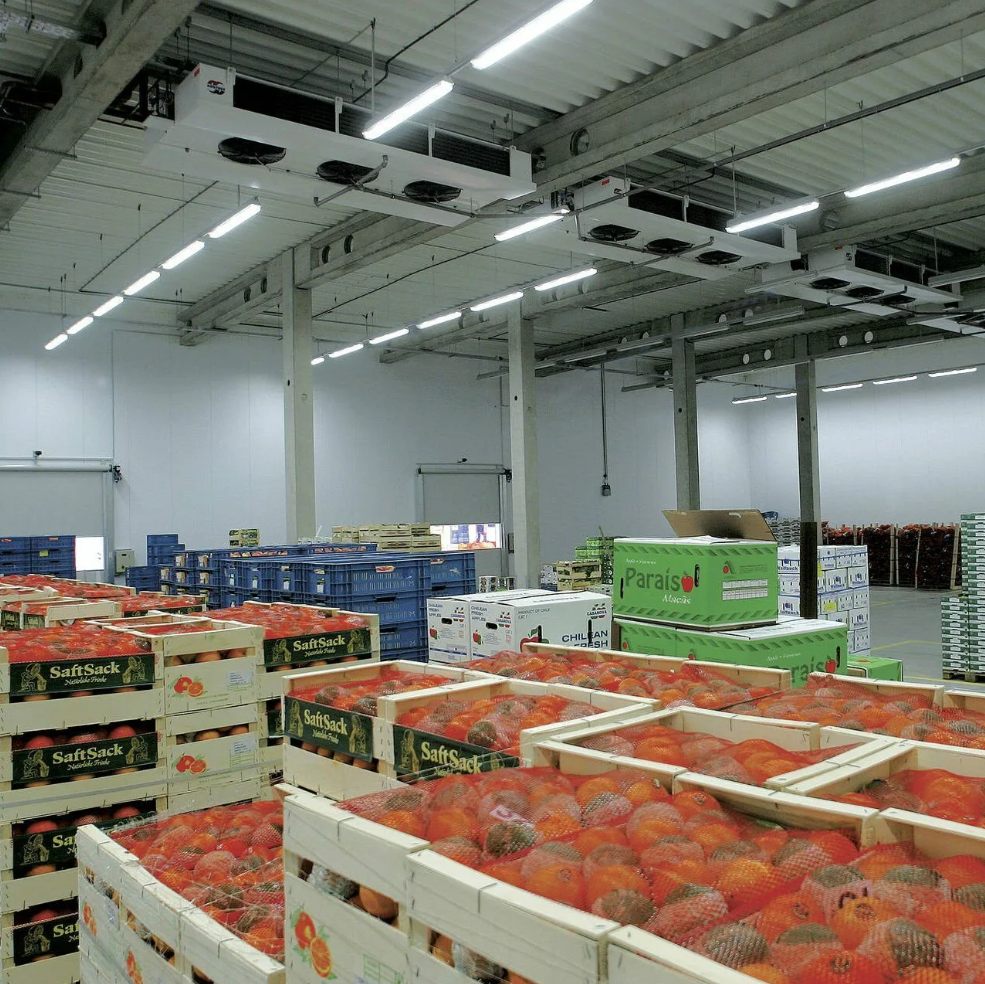cold chain warehouse