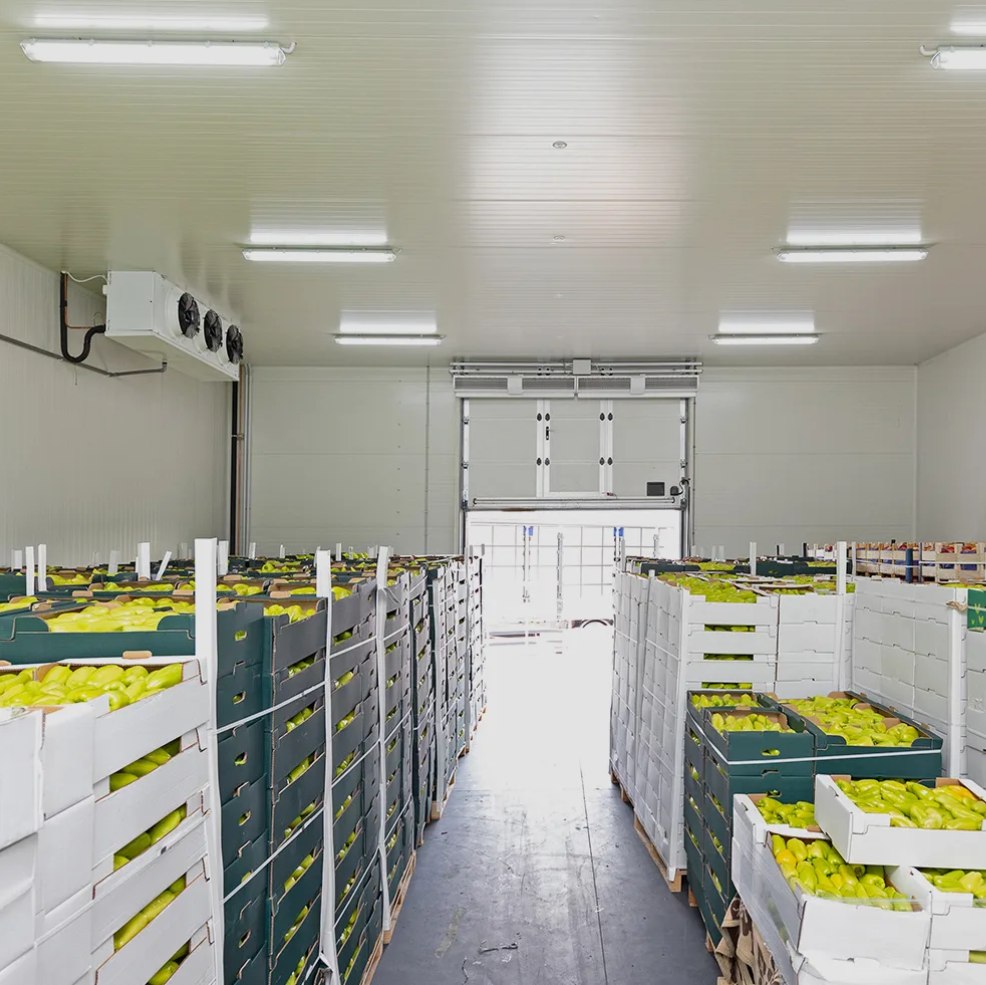 cold chain warehouse