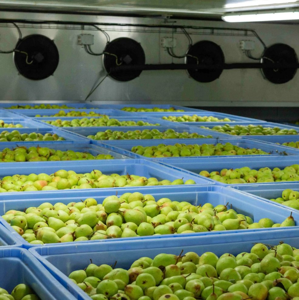 cold chain warehouse