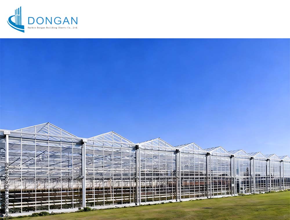 vegetable greenhouse