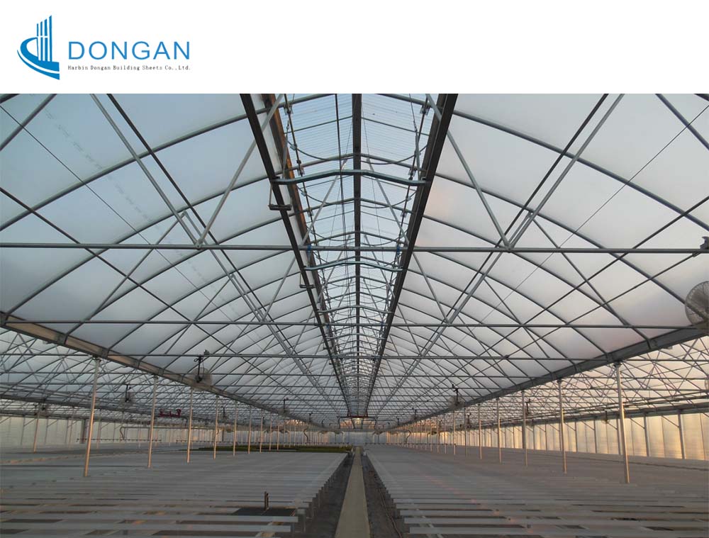 vegetable greenhouse